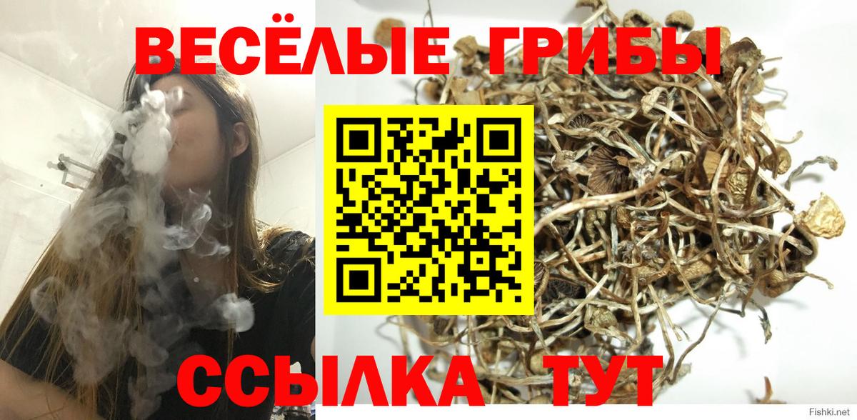 Псилоцибиновые грибы мухоморы Пугачёв