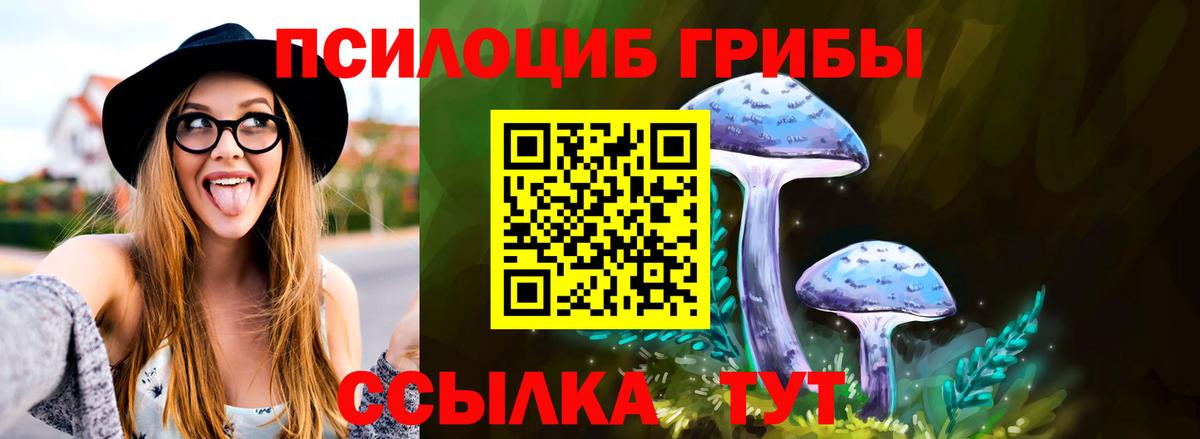 Галлюциногенные грибы Psilocybe  Вход с VPN  Пугачёв 